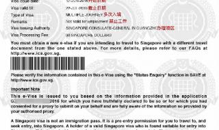 新加坡旅游签证 新加坡旅游签证